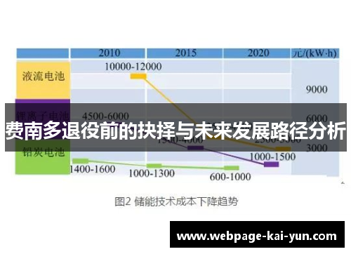 费南多退役前的抉择与未来发展路径分析