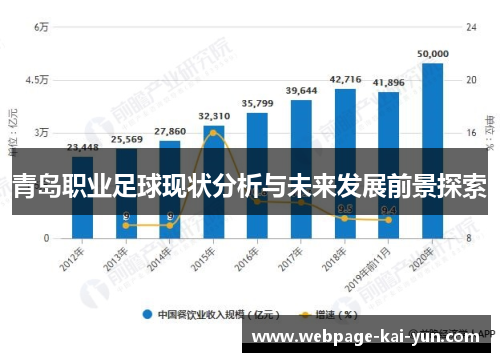 青岛职业足球现状分析与未来发展前景探索